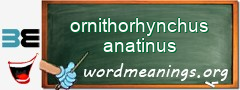 WordMeaning blackboard for ornithorhynchus anatinus